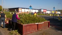 planter before